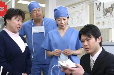 【最高の日本映画】動物病院彩子の事件カルテ もの言わぬ目撃者 動物だけが知る真犯人の正体とは ～🎬🎌🅷🅾️🆃🎌🎬 【ドラマ フル】🌺🌼