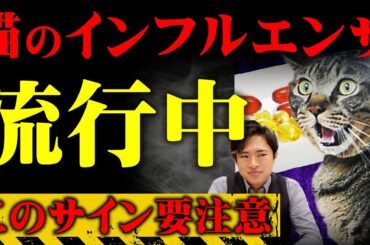 【猫のインフルエンザ】愛猫のこの兆候を見かけたら危険です…。 #猫風邪