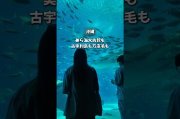 【#沖縄 ツアーの全貌】半日で5スポットも巡れるバスツアーが最強に充実しすぎて楽しかった！《沖縄旅行・観光・旅行・Okinawa》#沖縄旅行 #japan #okinawa