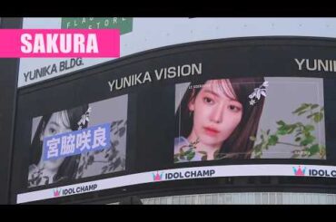 ルセラフィム 宮脇咲良 le sserafim sakura ルセラフィム さくら le sserafim reaction 르세라핌 일본방송 lesserafim japan るせらふぃむ