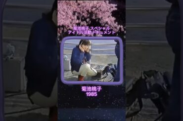 菊池桃子スペシャル アイドル活動ドキュメント