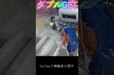 #クレーンゲーム #攻略 #フック #猫猫 #ヒプマイ