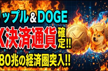 【XRP,DOGE】リップル、ドージX決済通貨確定！！180兆円市場突入！！【仮想通貨】