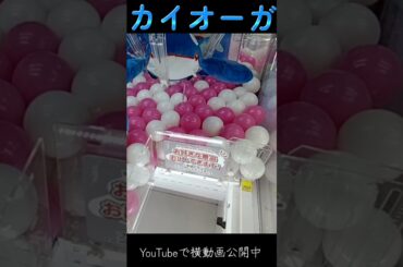 #クレーンゲーム #攻略 #確率無視 #ポケモン #カイオーガ