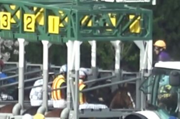 【珍事】桜花賞の生ファンファーレ後にリリージョワが発馬機内で突進しやり直し 2回目は録音ファンファーレが流れ観客達が失笑する【外枠発走 阪神競馬場】