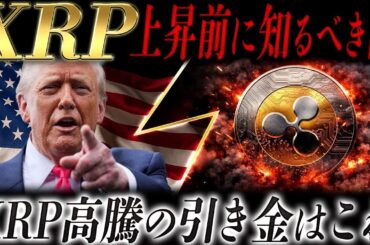 🔥XRPに好影響🔥イーロンが仮想通貨市場に“爆弾”を投下❗️過去一の追い風かもしれません❗️