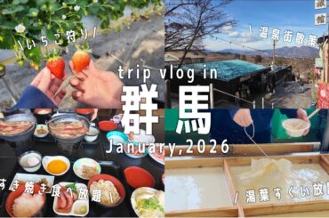 ［vlog］日帰りバスツアーに参加してみた🚌✨| 群馬でおいしいもの食べ放題！🍲🍓🍵|