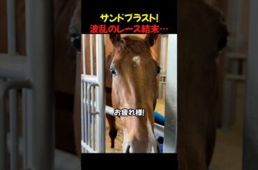 ​【競馬】水泳で鍛えた筋肉！期待のレース結果は！？