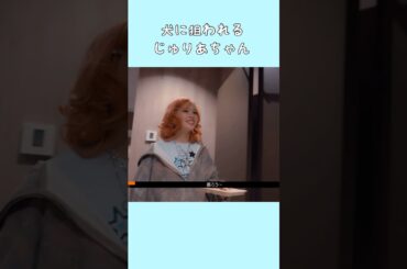 犬に狙われるじゅりあちゃん🐿️🐶 #JURIA #MAYA #XG