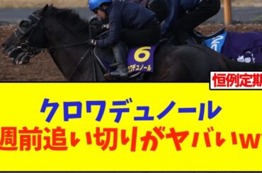天皇賞春、クロワデュノール1週前追い切りがヤバいww【競馬】