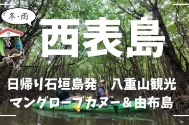 西表島ツアーは正直どう？｜参加してわかったメリット・デメリット【50代みどり旅】