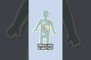 MPOX a nova EMERGÊNCIA GLOBAL#shorts  #curiosidades#medicina