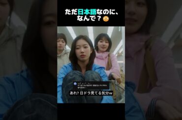 サクラのこの雰囲気、韓国で話題の理由？