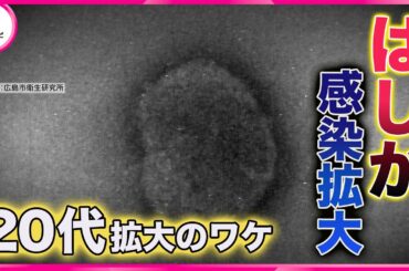 【全国で“はしか”感染拡大】20代で拡大のワケは… 新型コロナより強い“感染力”