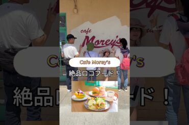 【ハワイ】どこでもプライベートツアー・3月26日M様 #カワイイハワイツアー #おでかけvlog #ハワイツアー #旅行