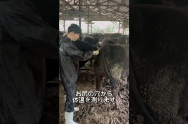 優香くんがお肉になるまで【残り7ヶ月】