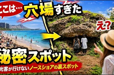 【ハワイ】普通は行けないノースショアの裏スポット｜貸切ツアーで全部回れます