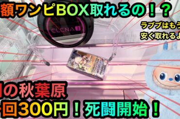 【クレーンゲーム】闇の秋葉原へ潜入！高額ワンピカBOX橋渡し攻略ゲットしたいが！？【ゲームセンター】高額ポケモンぬいぐるみも！