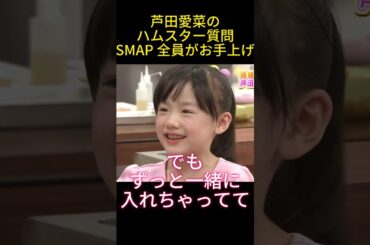 芦田愛菜のハムスター質問SMAP 全員がお手上げ #funny#面白い