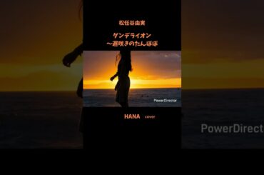 #ダンデライオン〜遅咲きのたんぽぽ#松任谷由実 #原田知世#JUJU#上白石萌音#德永英明#堀ちえみ#安達祐実#昭和の名曲#懐メロ#昭和の歌謡曲#cover