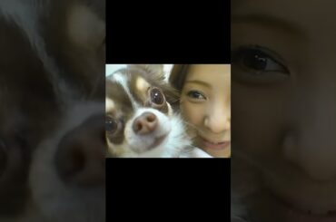 待機中のあやや   #松浦亜弥 #あやや