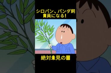 シロがパンダ飼育員に！ #アニメ #映画 #anime #funny #面白い