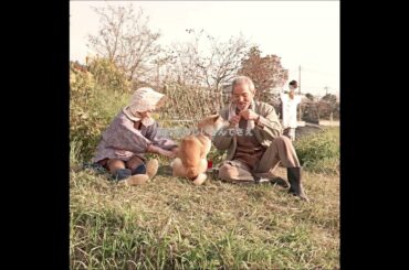 #映画紹介 #映画 #映画解説