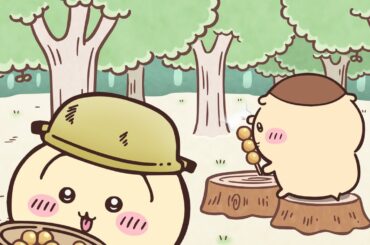 【公式】『ちいかわ』第338話「古本屋／玉こんにゃく」※1週間限定配信＜5/5 (火)AM7:59まで＞