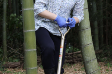 【画像】愛子さま、タケノコ堀り