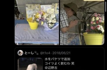 【悲報】サヨクさん、辺野古で死んだ女子生徒に「犬の水飲みバケツ」で献花して炎上 （※画像あり）
