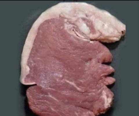 【画像】右脳派ならクジラに見え、左脳派ならキリンに見える豚肉が見つかる