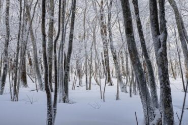 yudai_0123A008_TP_V4