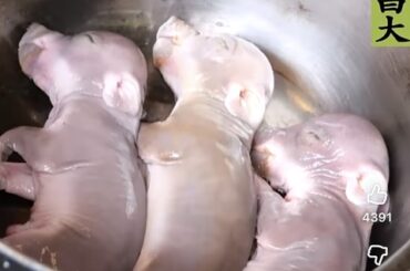 【画像】東出の料理、あまりにも美味そうｗｗｗｗｗｗｗｗｗ