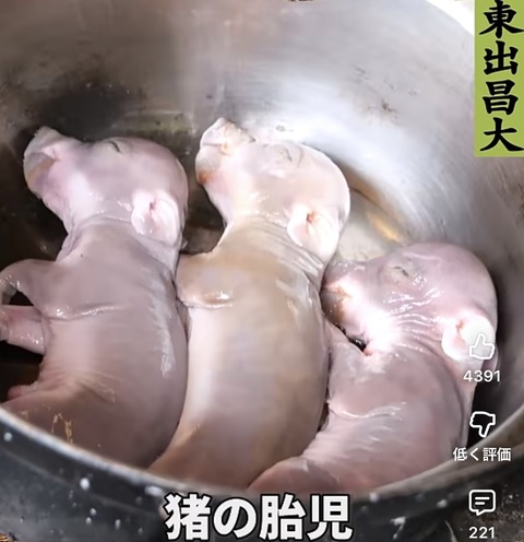 【画像】東出の料理、あまりにも美味そうｗｗｗｗｗｗｗｗｗ