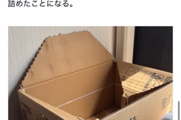 BPOに「辺野古転覆事故、放送局全体で報道する回数が少ないのではないか」といった声が寄せられた