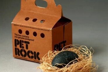 【衝撃】ヒットした理由が謎すぎる「謎ヒット商品」ランキング、ついに完成するwwwwwwwwwwwwwwwwww