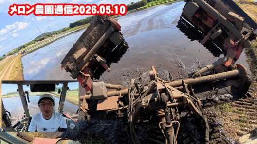 【メロン農家の日常】代かき作業中に徹底コメント返し＆メロン栽培の疑問に本音で答えます 2026.05.10