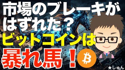 ビットコイン（BTC）は暴れ馬？〜利上げできない市場？ブレーキを効かせられなくなっている？