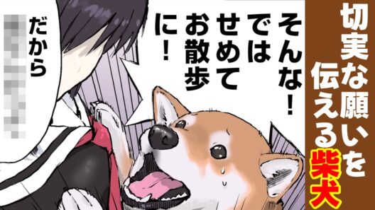 〇〇できず女子高生に欲求不満を訴える柴犬【アニメ/漫画】 #世界の終わりに柴犬と #せか柴