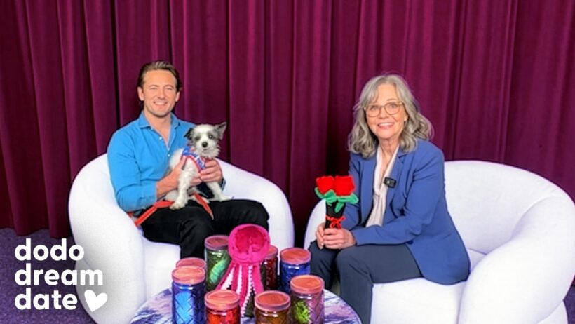 Sally Field and Lewis Pullman Need To Know Who Ends Up Adopting Their Date… | The Dodo
