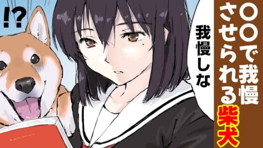 女子高生に〇〇で我慢させられる柴犬【アニメ/漫画】 #世界の終わりに柴犬と #せか柴
