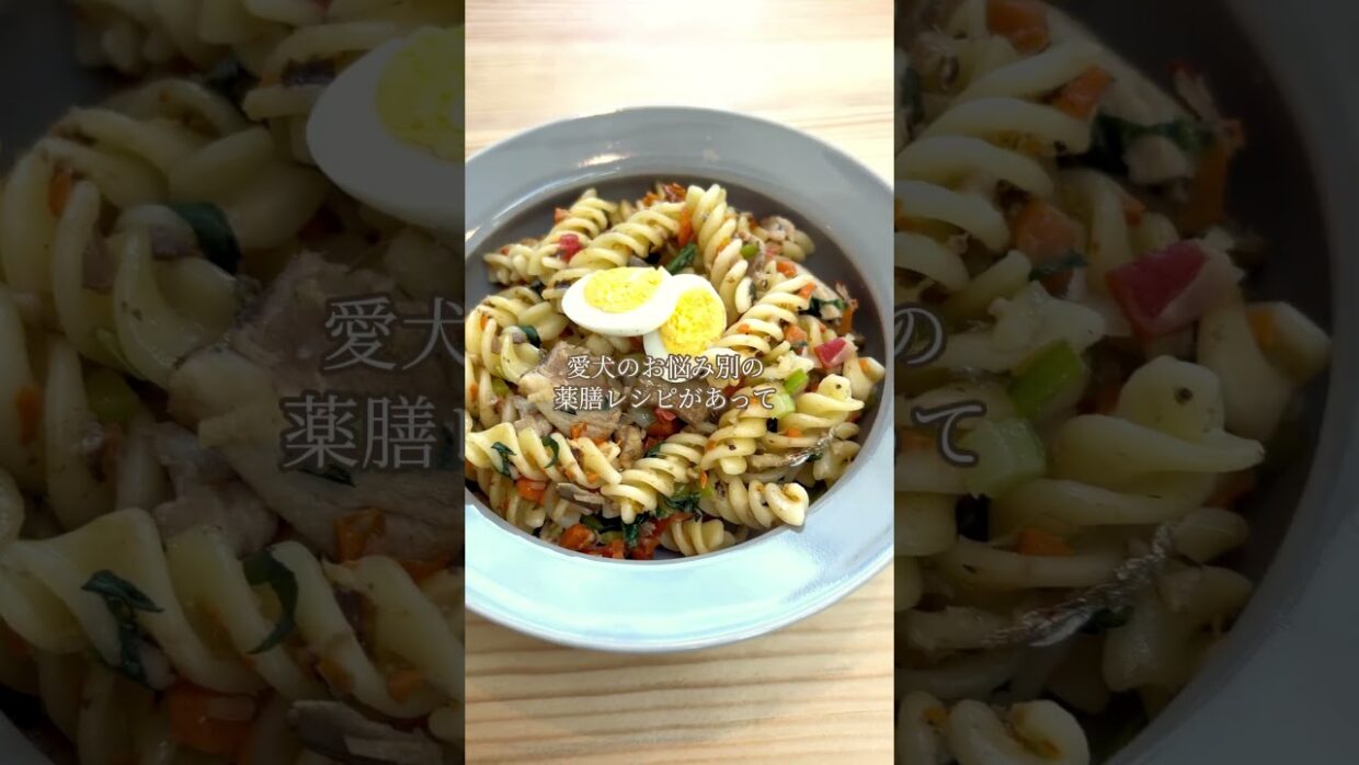 【ワンコnowa監修】全国初!? “無添加“の室内ドッグラン付きカフェ！