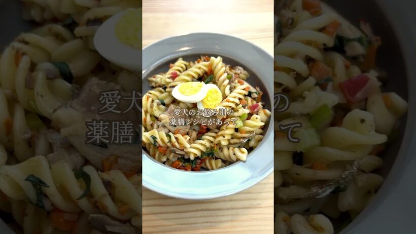 【ワンコnowa監修】全国初!? “無添加“の室内ドッグラン付きカフェ！