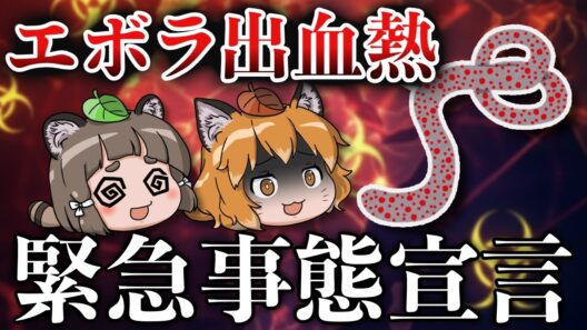 【エボラ出血熱】WHOが緊急事態宣言…日本上陸はあり得るのか？