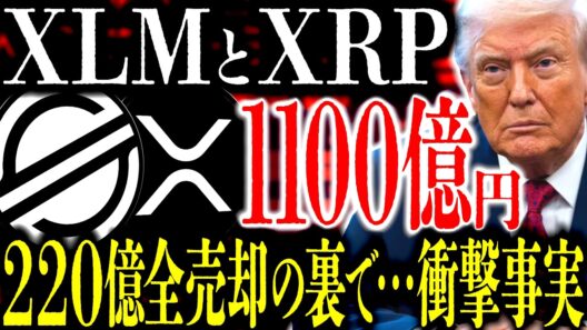 XRPを｢220億円｣全売却したゴールドマン･サックスが裏で｢1100億円｣を･･･。XLM｢数兆円規模｣の巨大決済インフラ構造が創る未来⸺あと2年で100%量子耐性の時代へ【リップル】【ステラ】