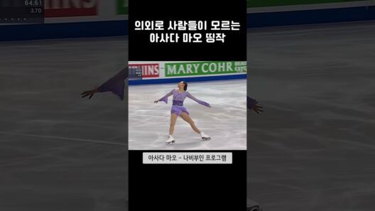 의외로 사람들이 모르는 아사다 마오 띵작