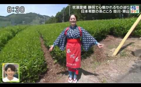 朝だ！生です旅サラダ 2026年5月23日 牧瀬里穂・静岡さわやかハンバーグ＆地中海クルーズで南仏 字幕放送 データ放送 🅵🆄🅻🅻🆂🅷🅾🆆【𝐇𝐃】