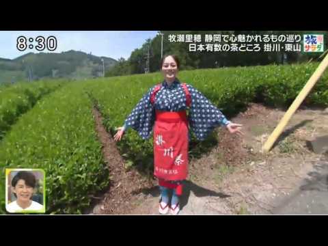 朝だ！生です旅サラダ 2026年5月23日 牧瀬里穂・静岡さわやかハンバーグ＆地中海クルーズで南仏 字幕放送 データ放送 🅵🆄🅻🅻🆂🅷🅾🆆【𝐇𝐃】