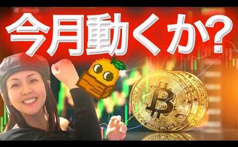 ビットコイン歴史通りなら今月大きく動く まだショート持ってるお