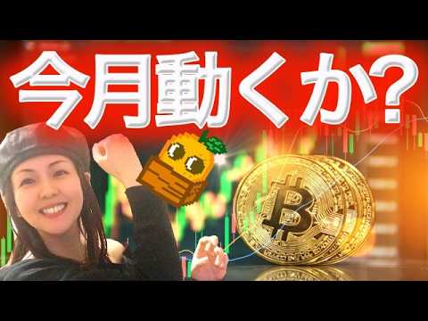 ビットコイン歴史通りなら今月大きく動く まだショート持ってるお